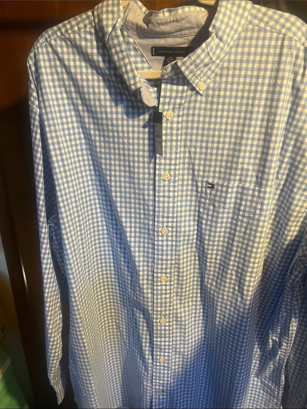 Tommy Hilfiger Light Blue and White Gingham Button-Down Shirt